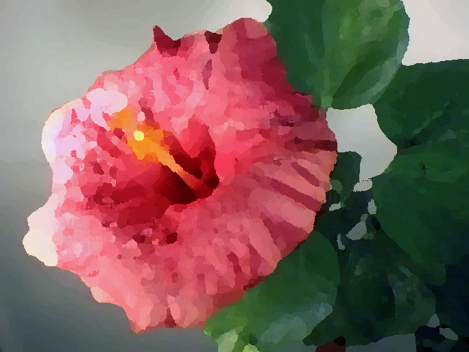 Hibiscus